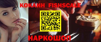 крисы Кулебаки