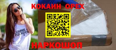 крисы Кулебаки