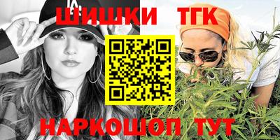 крисы Кулебаки