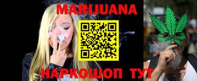 крисы Кулебаки