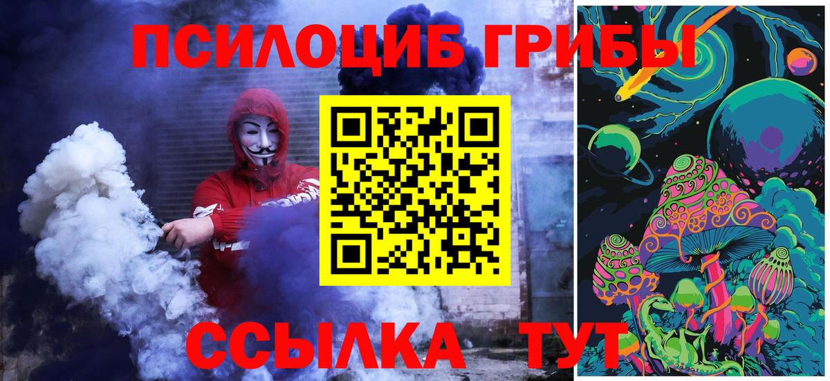 Галлюциногенные грибы Psilocybine cubensis Калуга