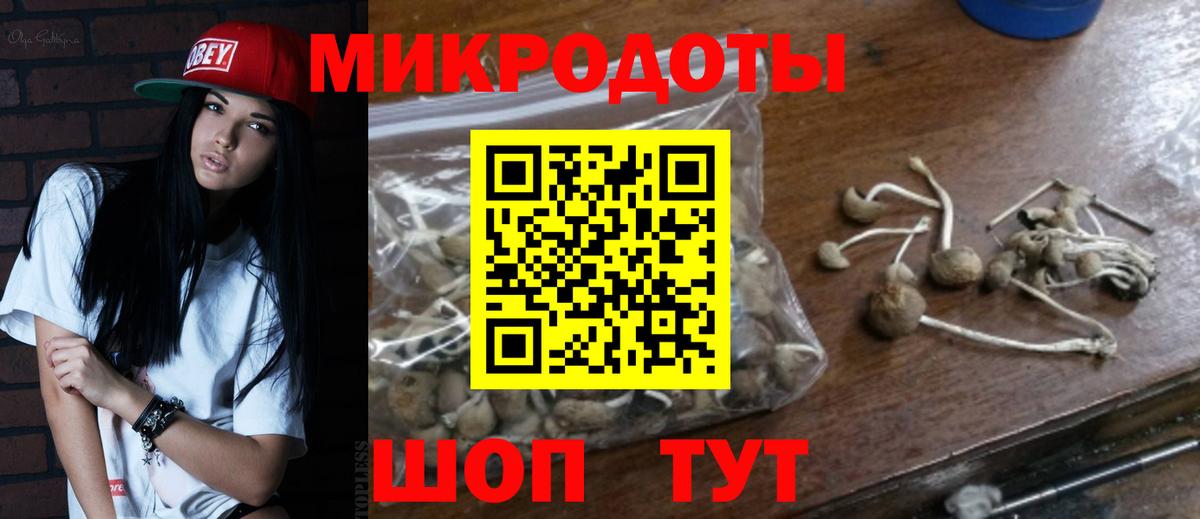Калуга  Псилоцибиновые грибы мицелий  Вход с VPN  Псилоцибиновые грибы Psilocybine cubensis 